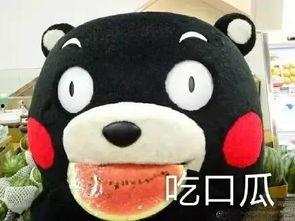 听歌吃瓜的视频,听歌吃瓜新体验