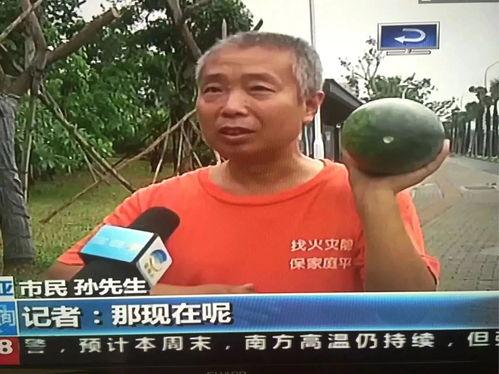 温州最新吃瓜事件新闻视频,视频揭秘惊人真相