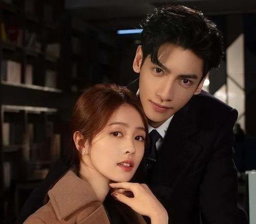 吃瓜少女付辛博视频