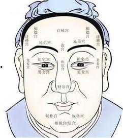 吃瓜的面相图解视频大全,揭秘吃瓜群众的神秘面相特征