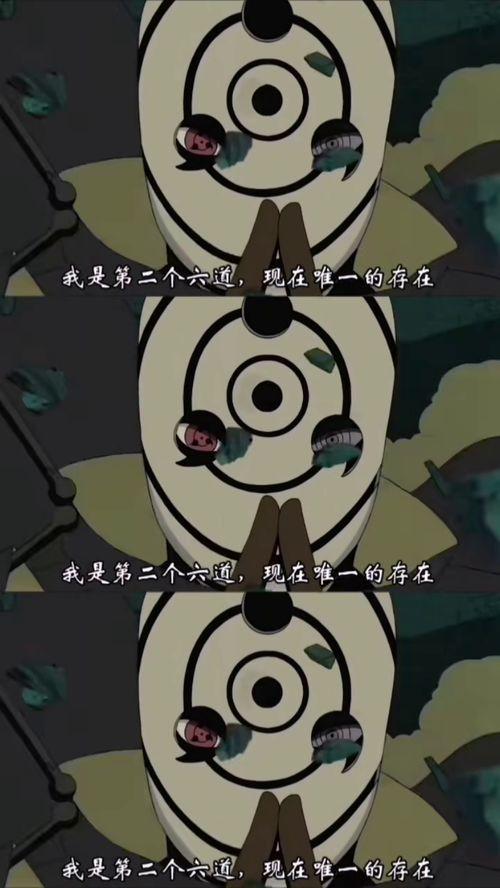 阿飞与大鹅吃瓜视频,阿飞与大鹅的欢乐吃瓜时光