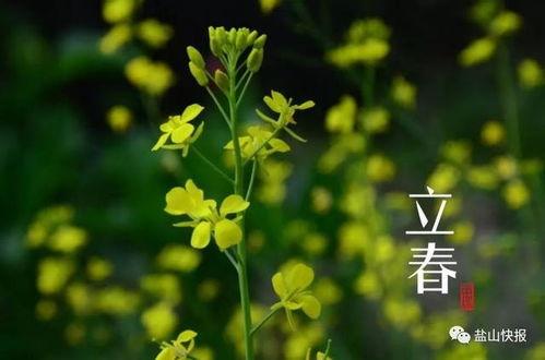 立春红脸吃瓜视频,揭秘视频背后的趣味与热议