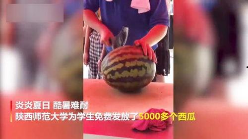 大瓜吃不停视频,揭秘娱乐圈幕后风云