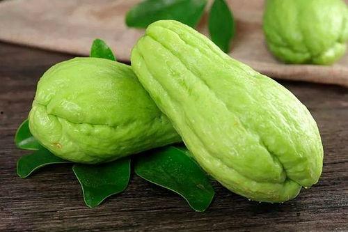 胖大哥吃佛手瓜视频,美味与健康的完美邂逅