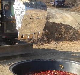 清华吃瓜视频,揭秘校园生活趣味瞬间