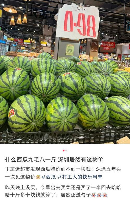 东莞吃瓜视频大全,揭秘当地美食文化盛宴