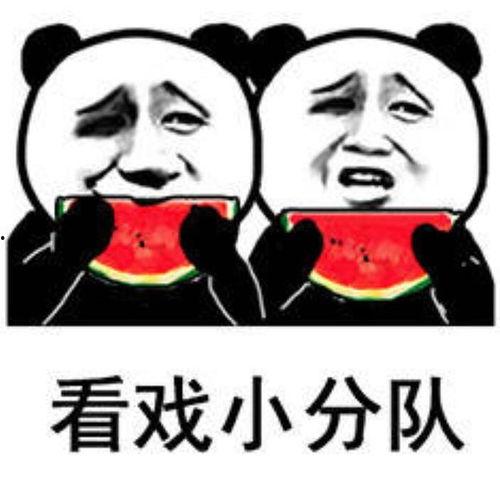 吃瓜看戏吐槽视频大全,笑料百出！吃瓜看戏吐槽视频大盘点