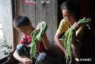 越南姐弟吃瓜视频大全,揭秘网络热传的趣味瞬间