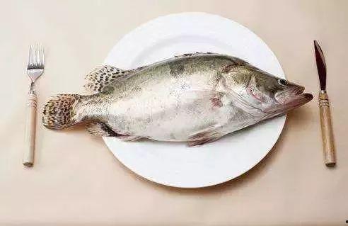 糟瓜鱼小朋友可以吃吗视频,安全与营养并重